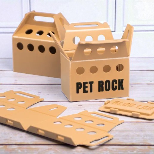Pet Rock thumbnail