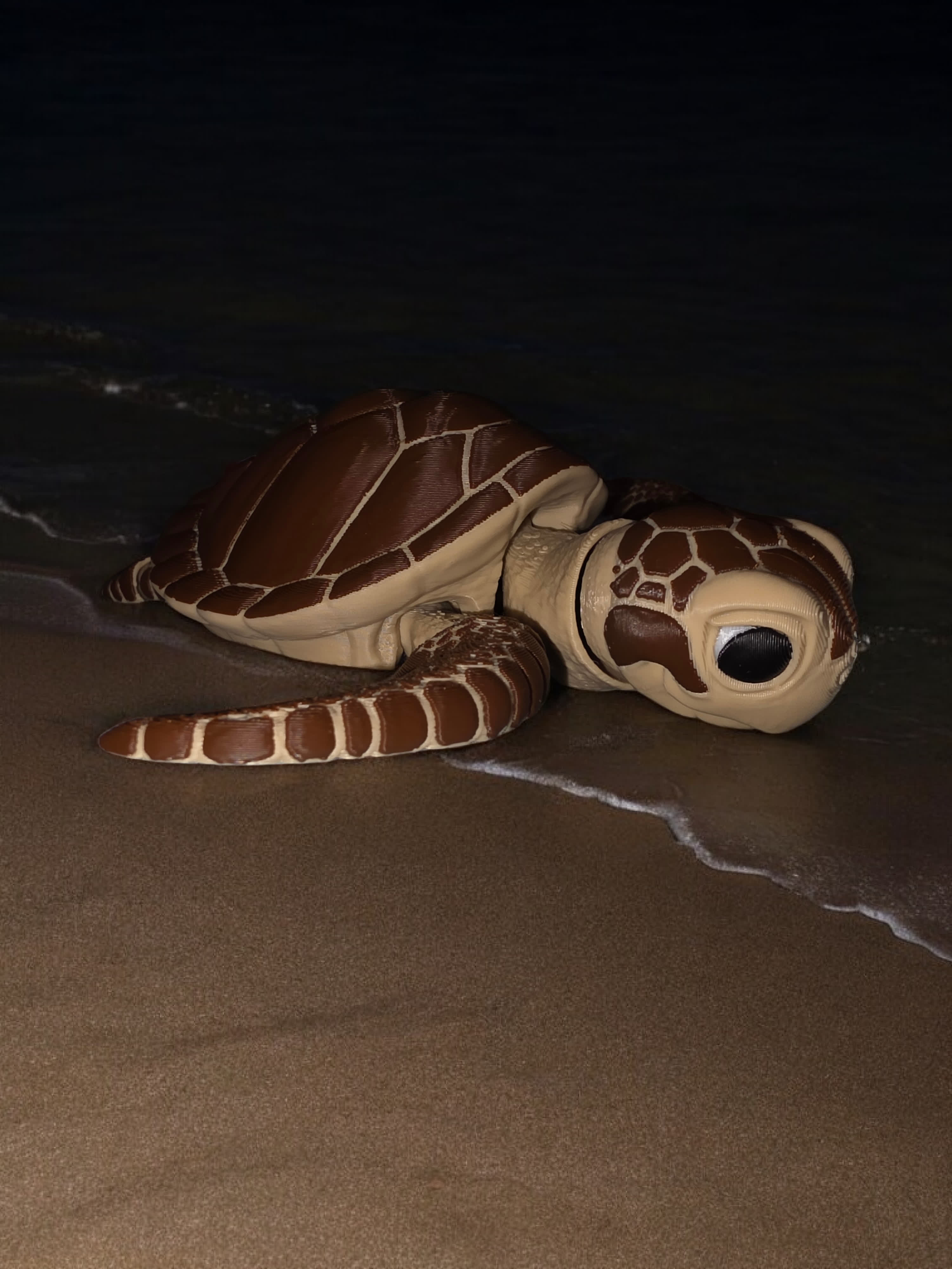 Sea Turtle thumbnail