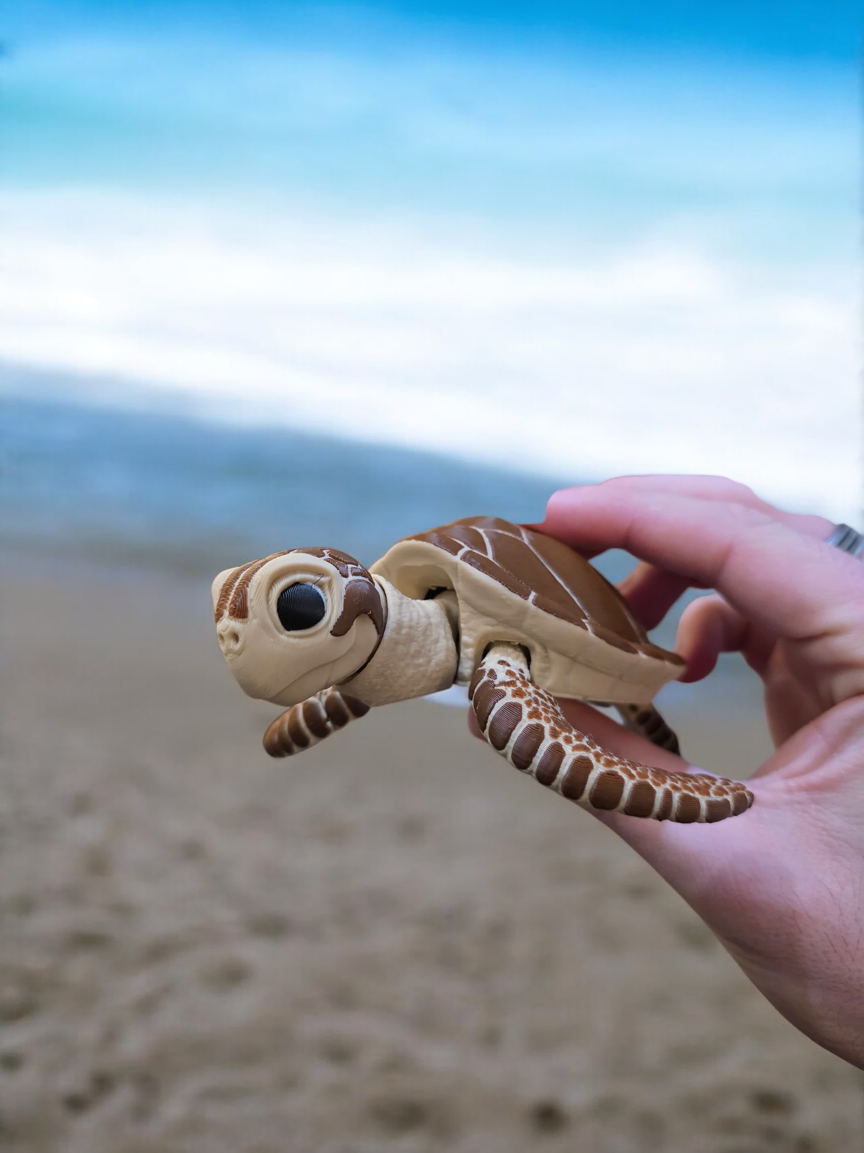 Sea Turtle thumbnail