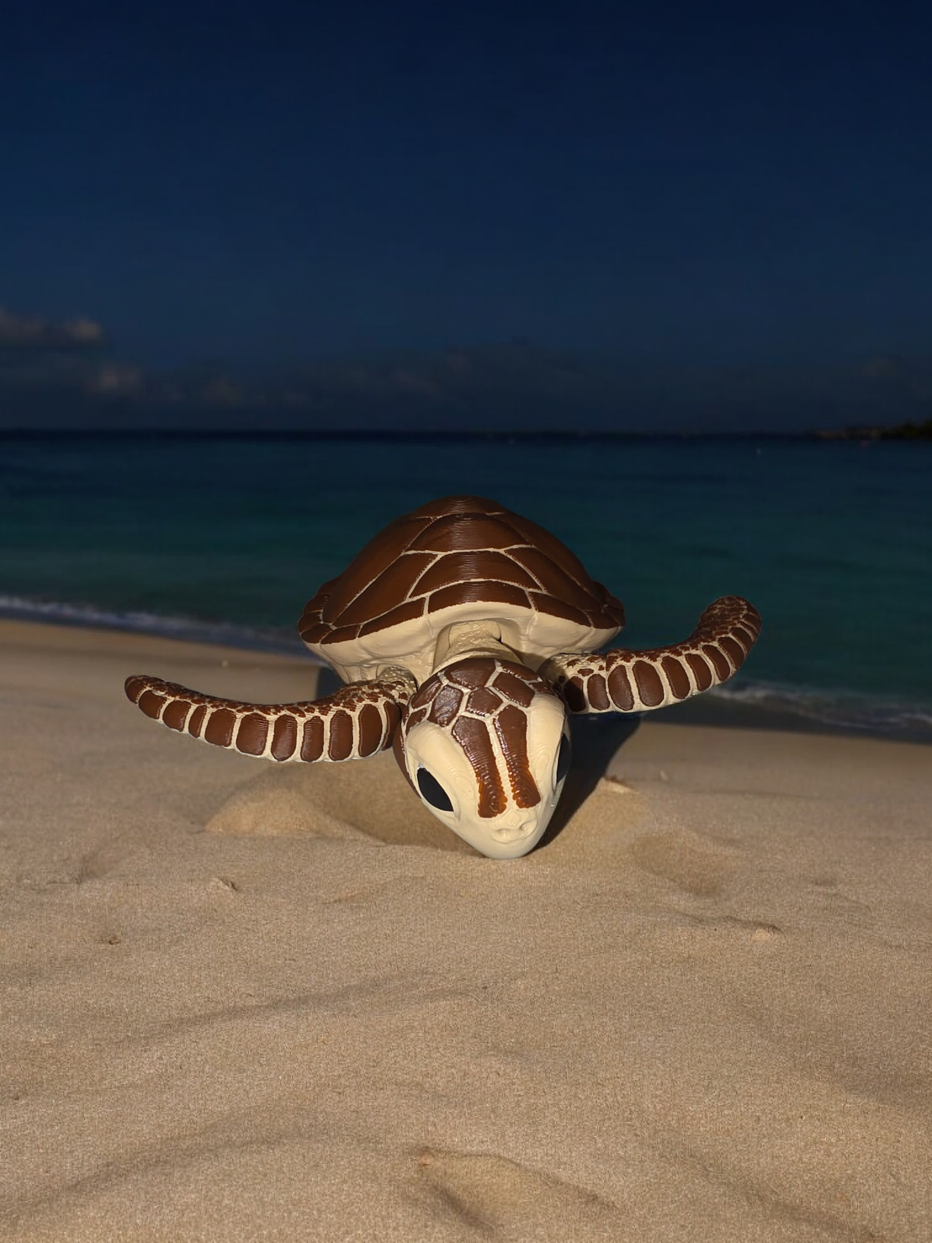 Sea Turtle thumbnail